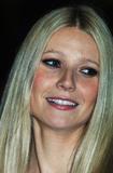 th_43543_Gwyneth_PrinceTrust05_122_509lo.jpg